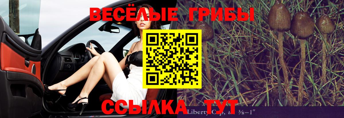 Псилоцибиновые грибы Magic Shrooms Лиски